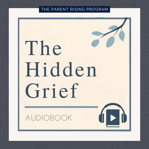 The Hidden Grief Audiobook